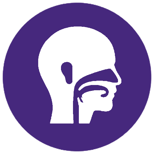 Head and Neck Surgery